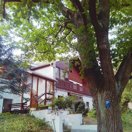 Pension Fischer Plauen Ngoại thất bức ảnh
